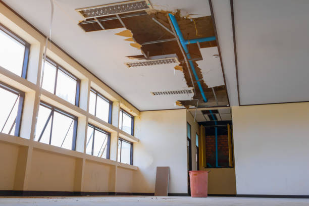 Best Carpet water damage restoration  in Albion, NE