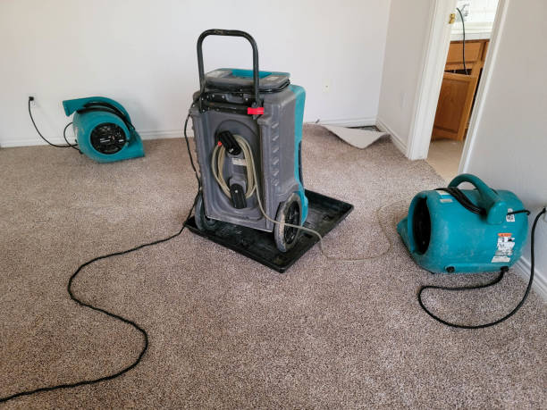 Best Flood damage cleanup  in Albion, NE