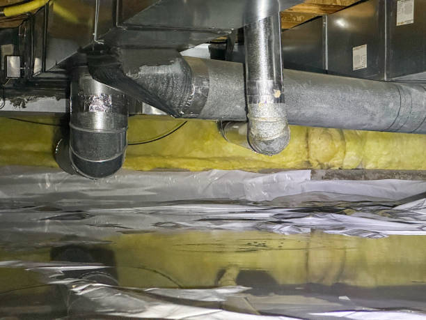 Best Carpet water damage restoration  in Albion, NE